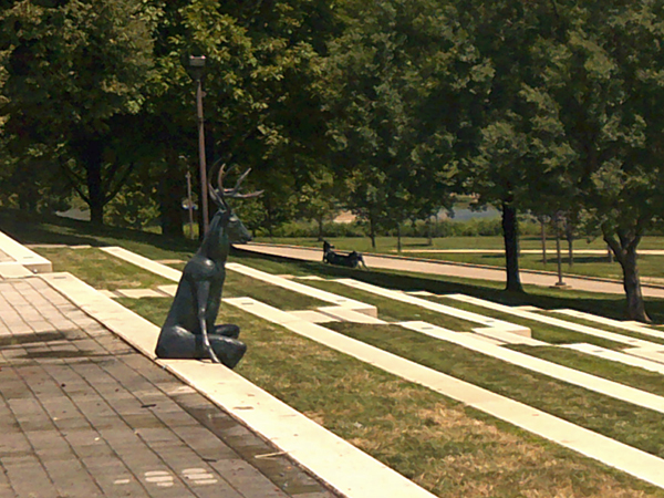 Cosi park